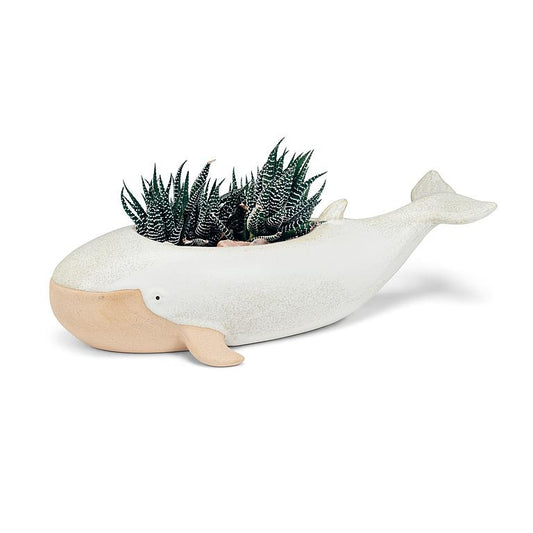 Long Whale Planter X-Large
