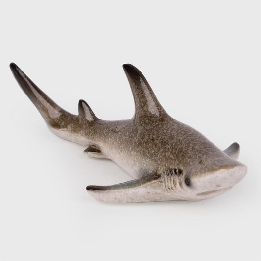 Shark Magnet