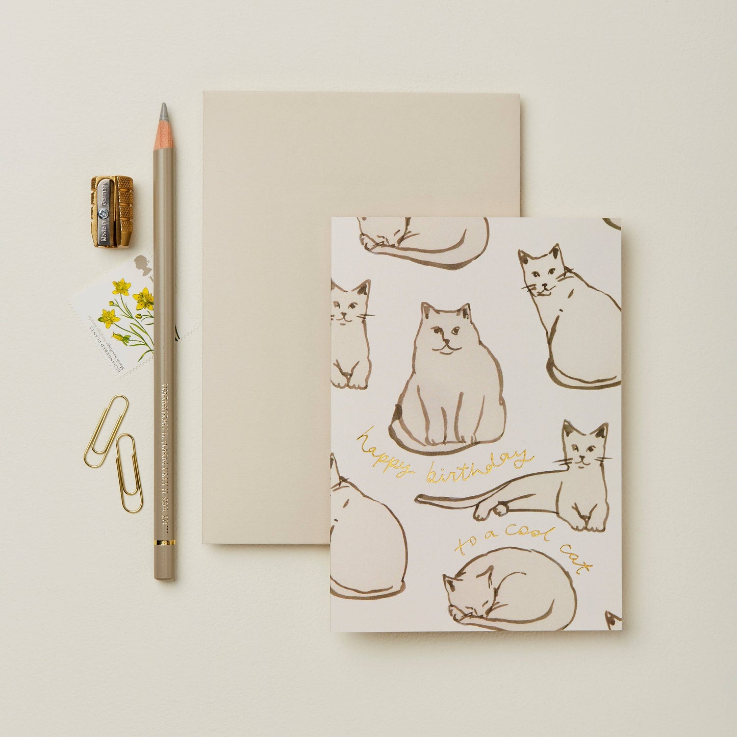 Cream card covered in line-drawn cats, reading Happy Birthday to a Cool Cat in gold script