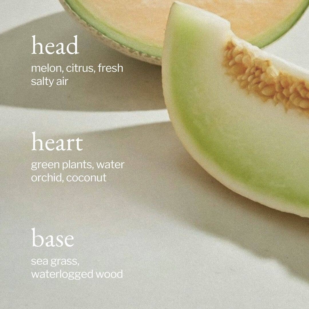 SOJA & CO. Portable Diffuser - Melon + Salty Air