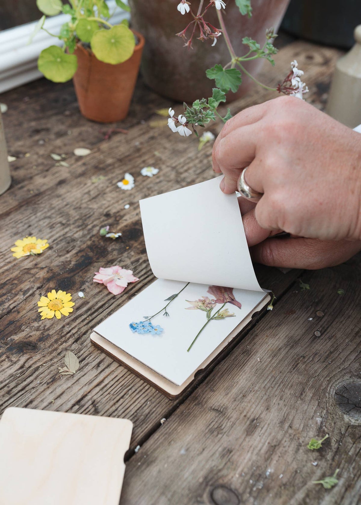 Pocket Flower Press - Forget Me Not