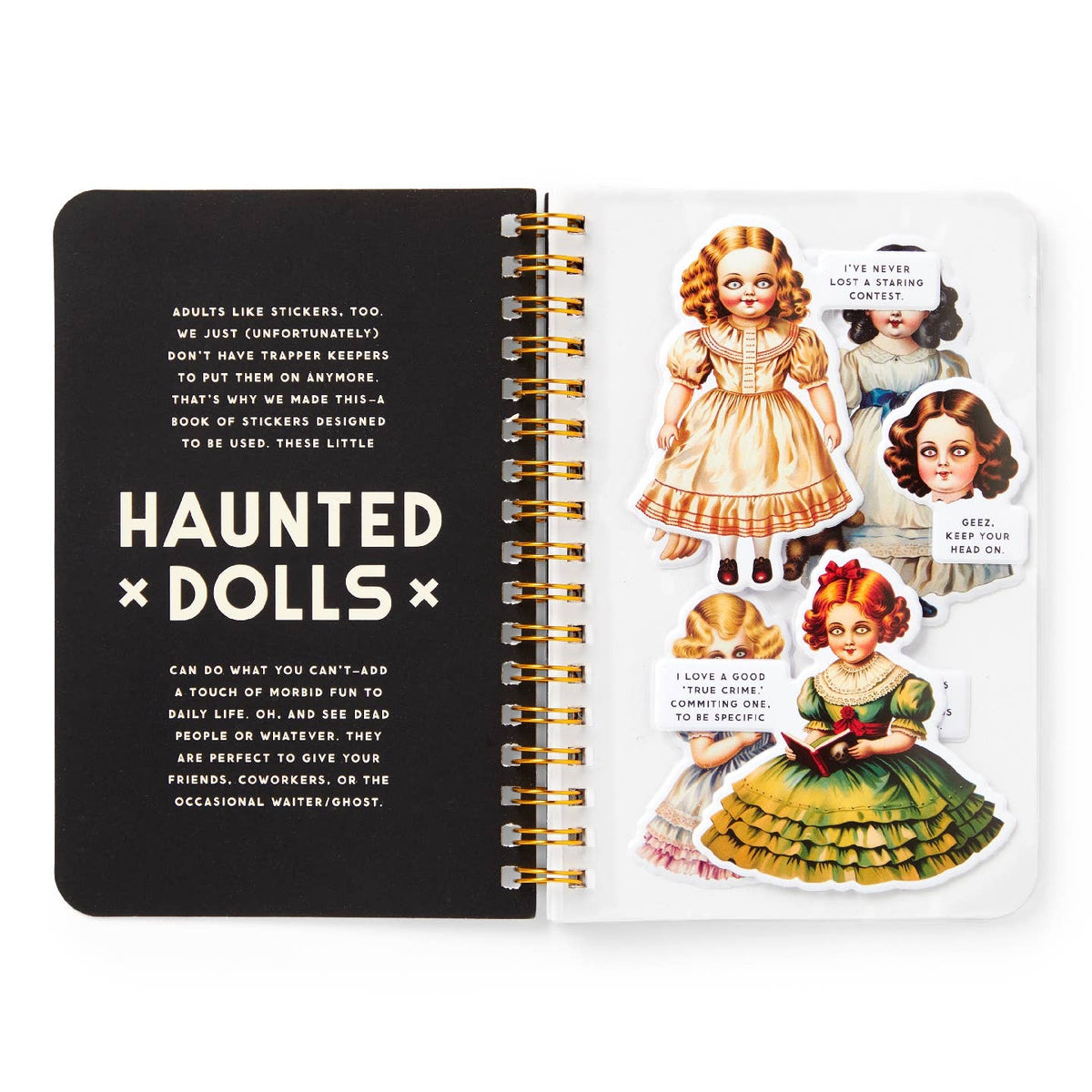 Haunted Dolls Sticker Book