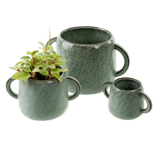 Niko Eared Pot Small