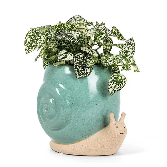 Abbott - Snail Planter Turquoise