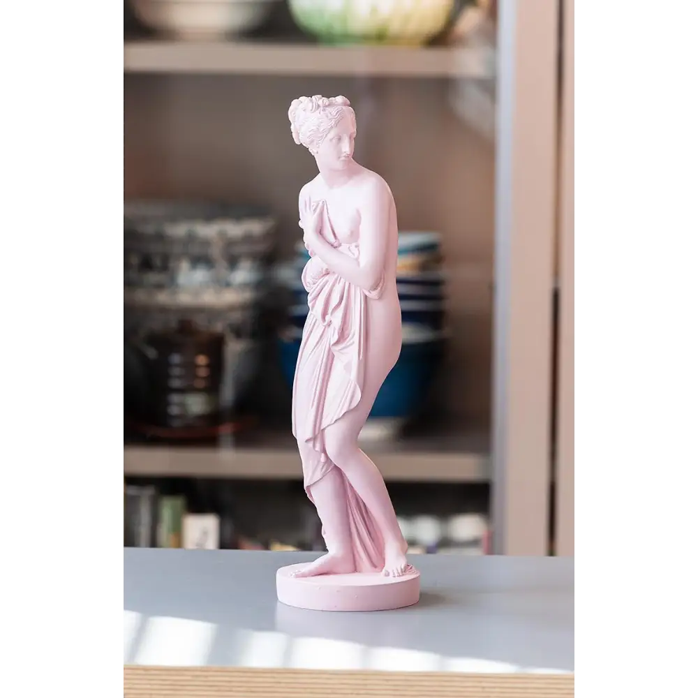 Pink Venus statue in Romanesque style displayed on shelf – 12” resin sculpture for modern home decor - PABOOM