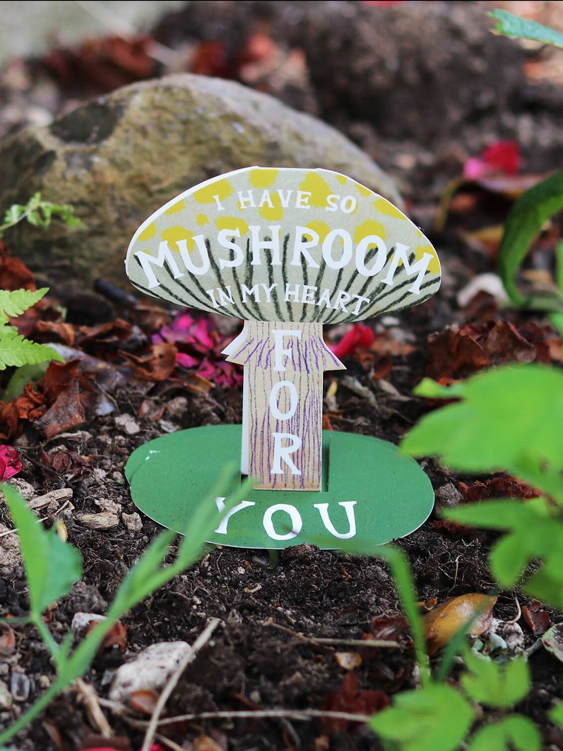 I Have So Mushroom in My Heart Card with envelope