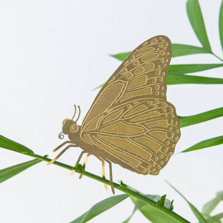 Plant Animal Butterfly - PABOOM