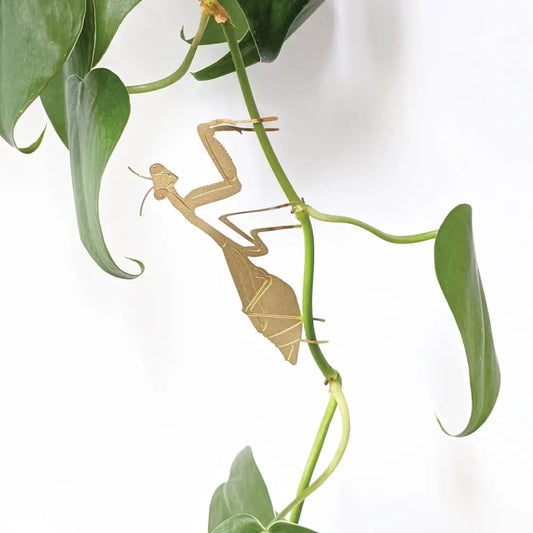 Plant Animal Praying Mantis - PABOOM