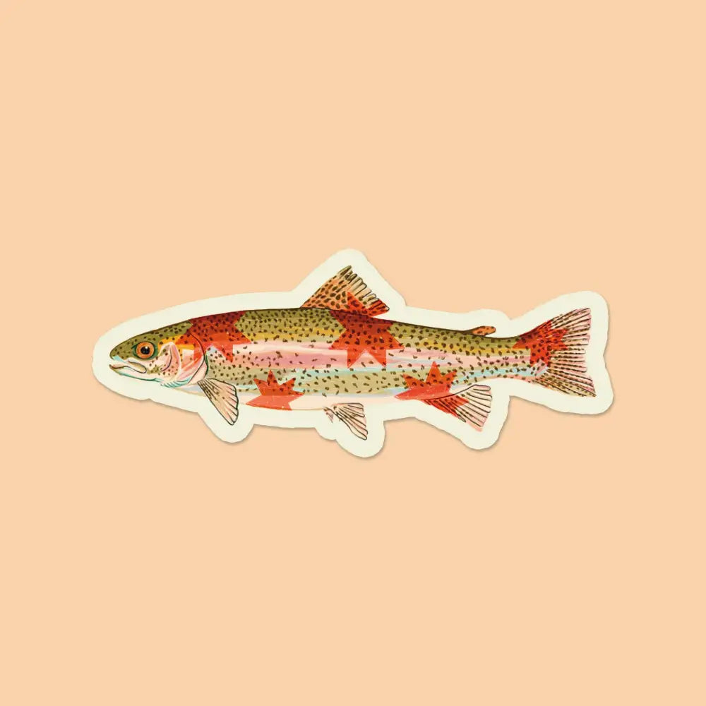 Artbaby & Co. - Rainbow Trout Starry Fish Sticker
