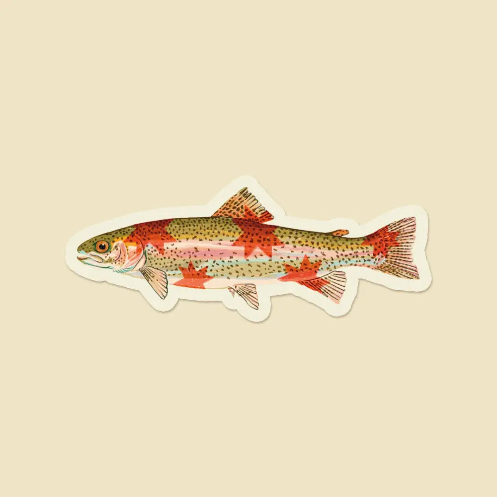 Artbaby & Co. - Rainbow Trout Starry Fish Sticker