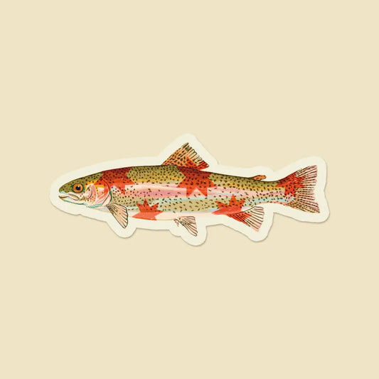 Artbaby & Co. - Rainbow Trout Starry Fish Sticker