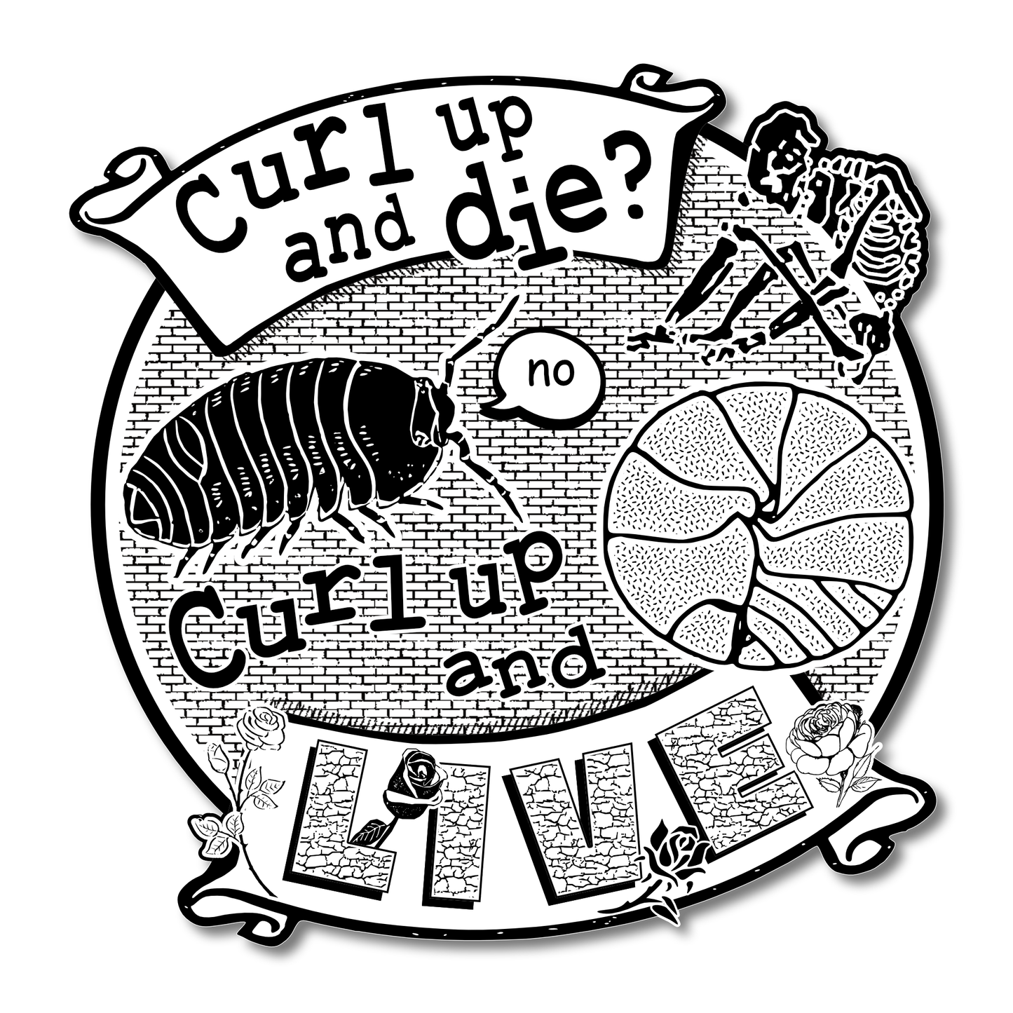 Circular vinyl sticker on a brick background showing an isopod, a skeleton, and a croissant, with text reading "Curl up and die? No. Curl up and live."