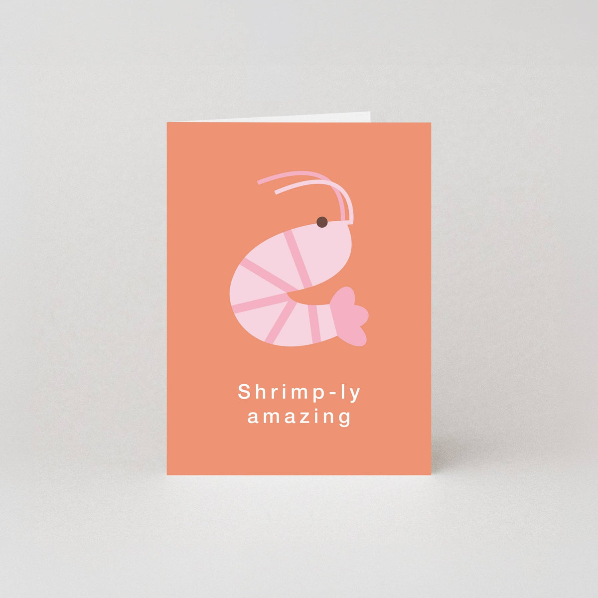 Mini greeting card with an illustrated pink shrimp and the text "Shrimp-ly amazing" on a terracotta background.