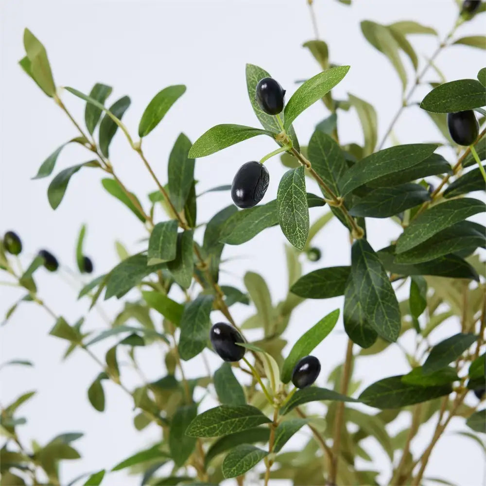 CTG Brands - Artificial Potted Olive Tree 63in.