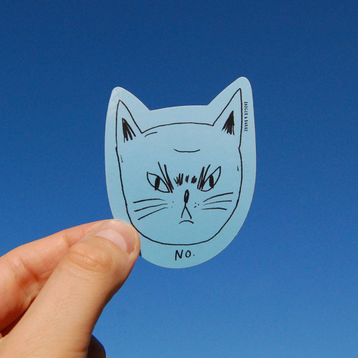 Snitty Kitty No sticker on a water bottle - PABOOM