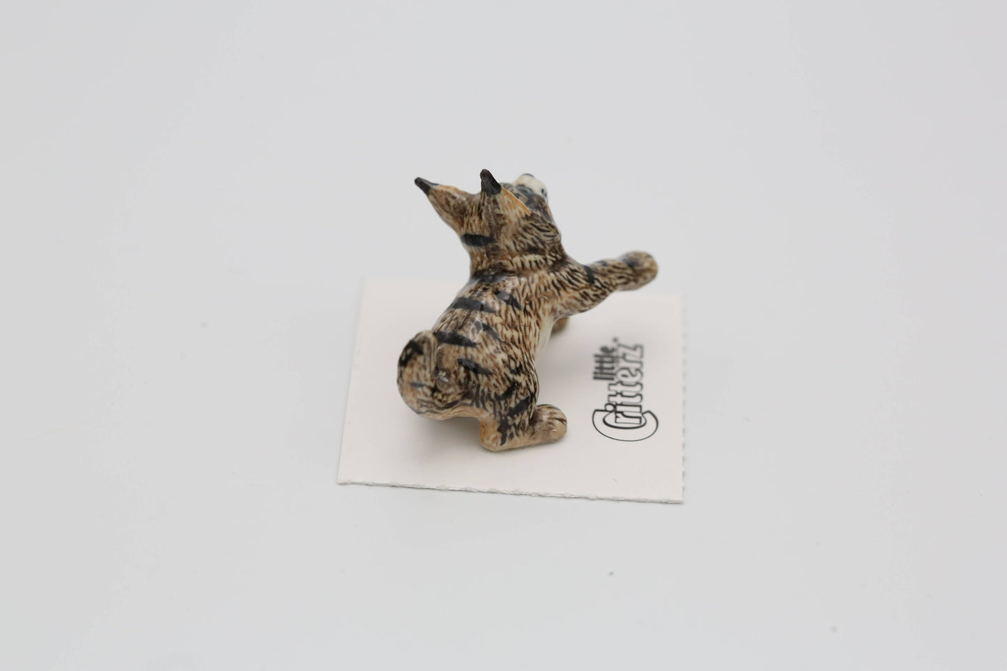 Cosey Maine Coon Kitten Porcelain Miniature