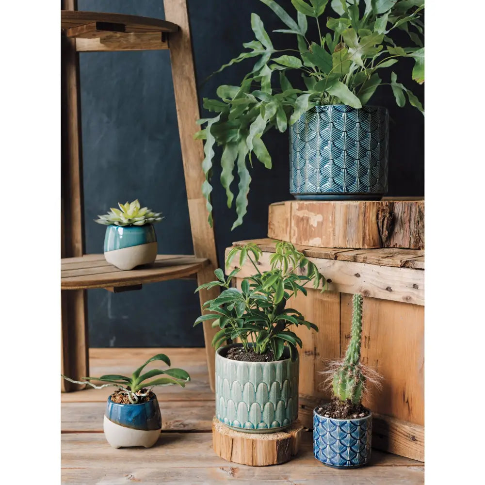 Planter Plume Azure Small - PABOOM