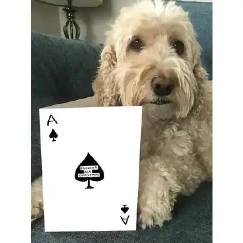 Fucking Ace Christmas Card - PABOOM
