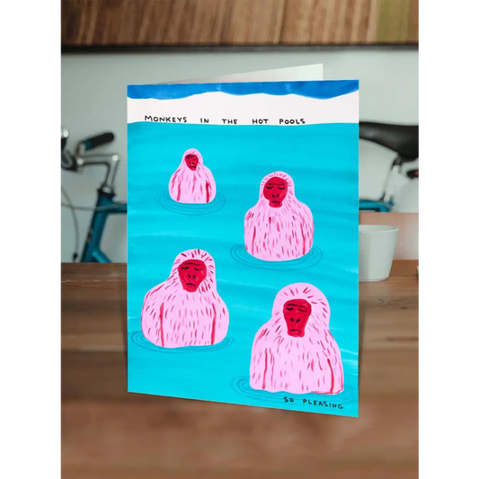 David Shrigley x Brainbox Candy - Funny Greetings Card - Monkeys In Pool