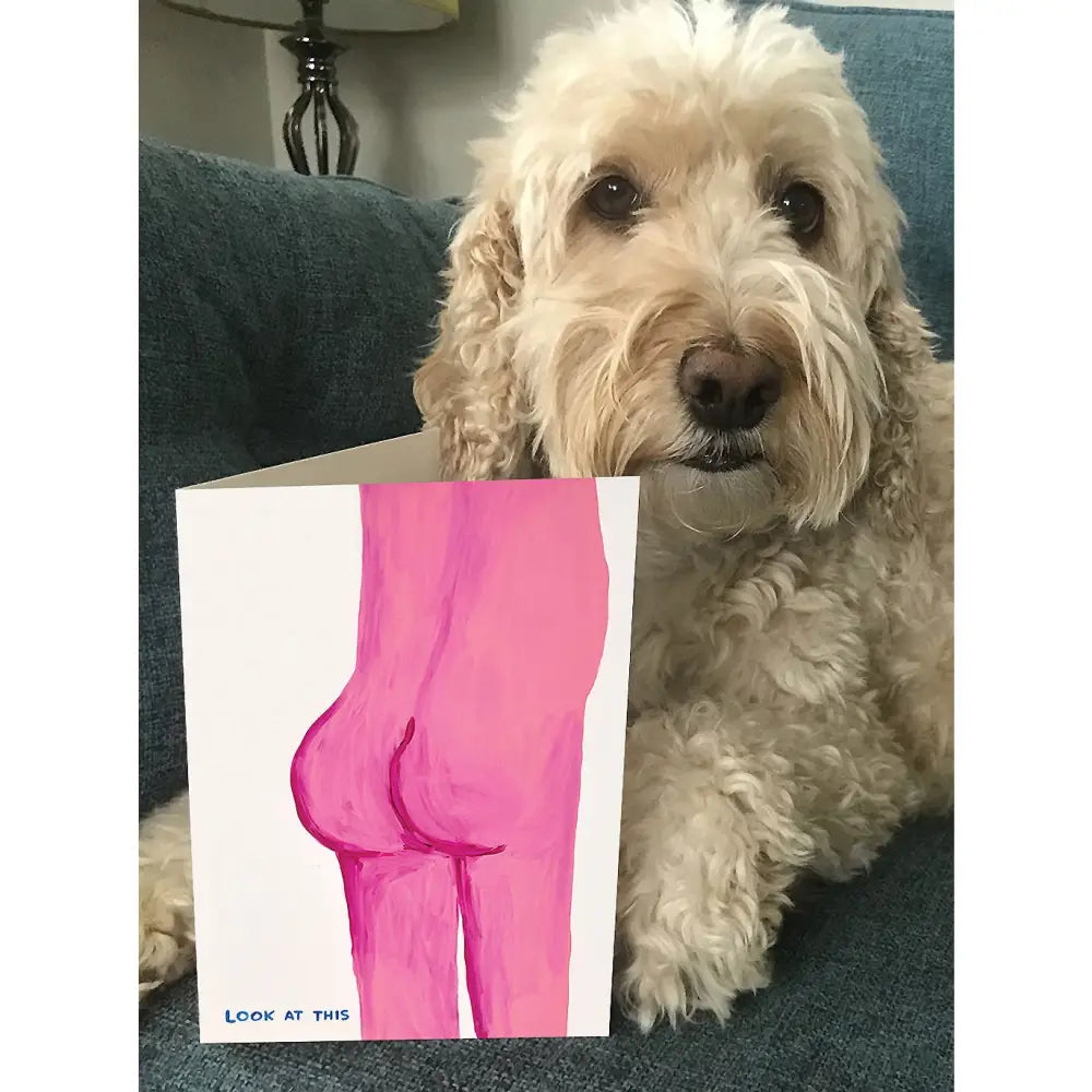 Look At This Bum Card - PABOOM