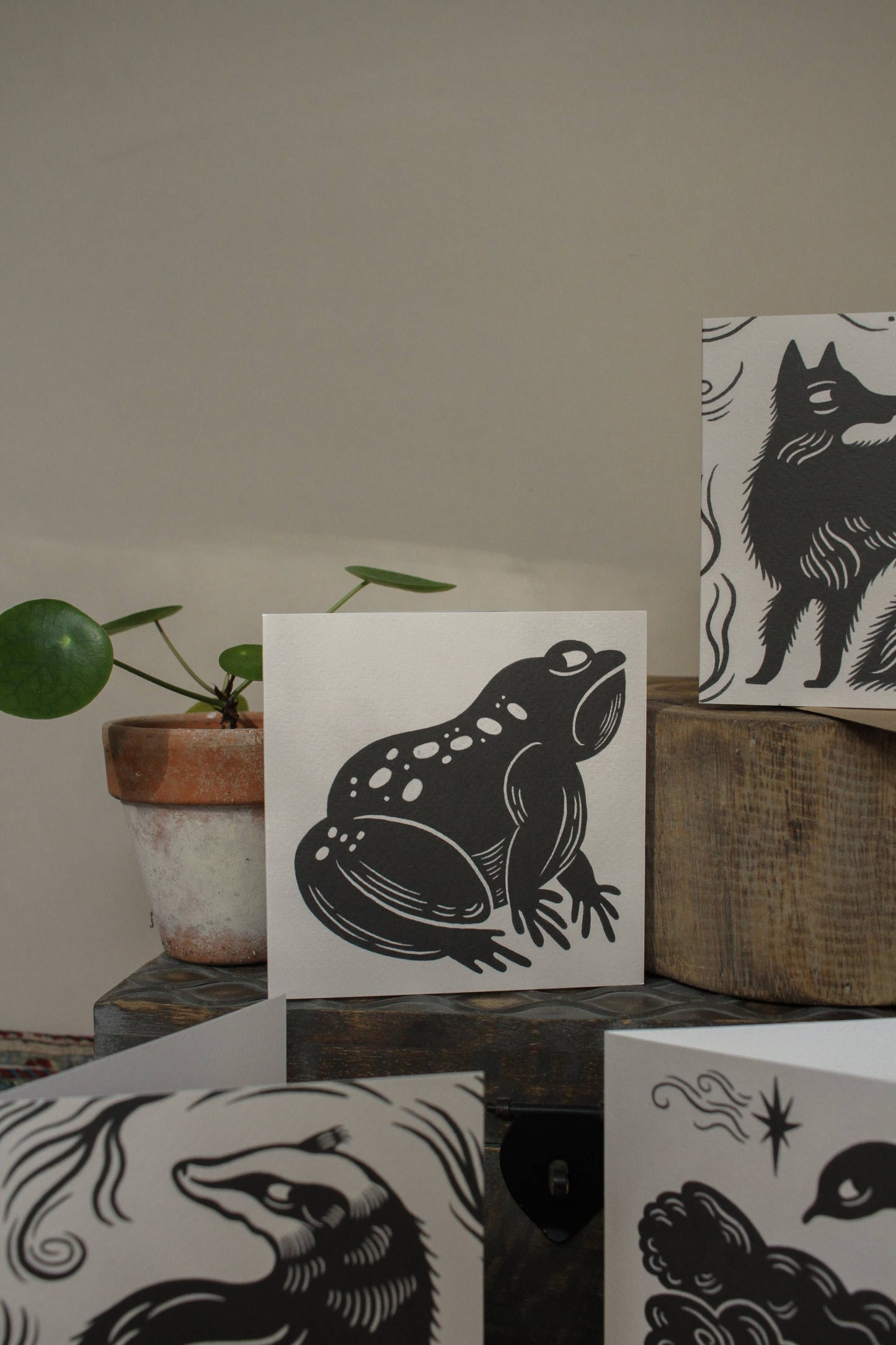 'The Grumpy Frog' square animal card displayed with envelope, showcasing the cream and black colour palette