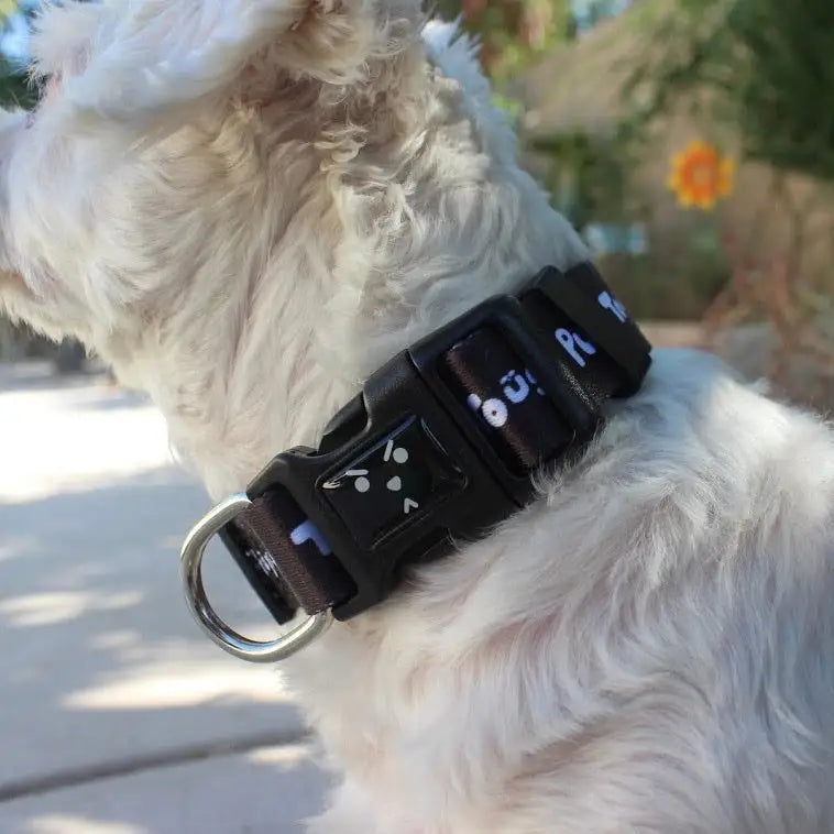 Tough Pup Dog Collar - PABOOM