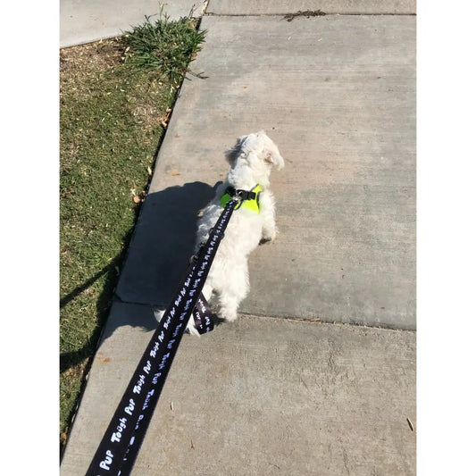 Tough Pup Leash - PABOOM