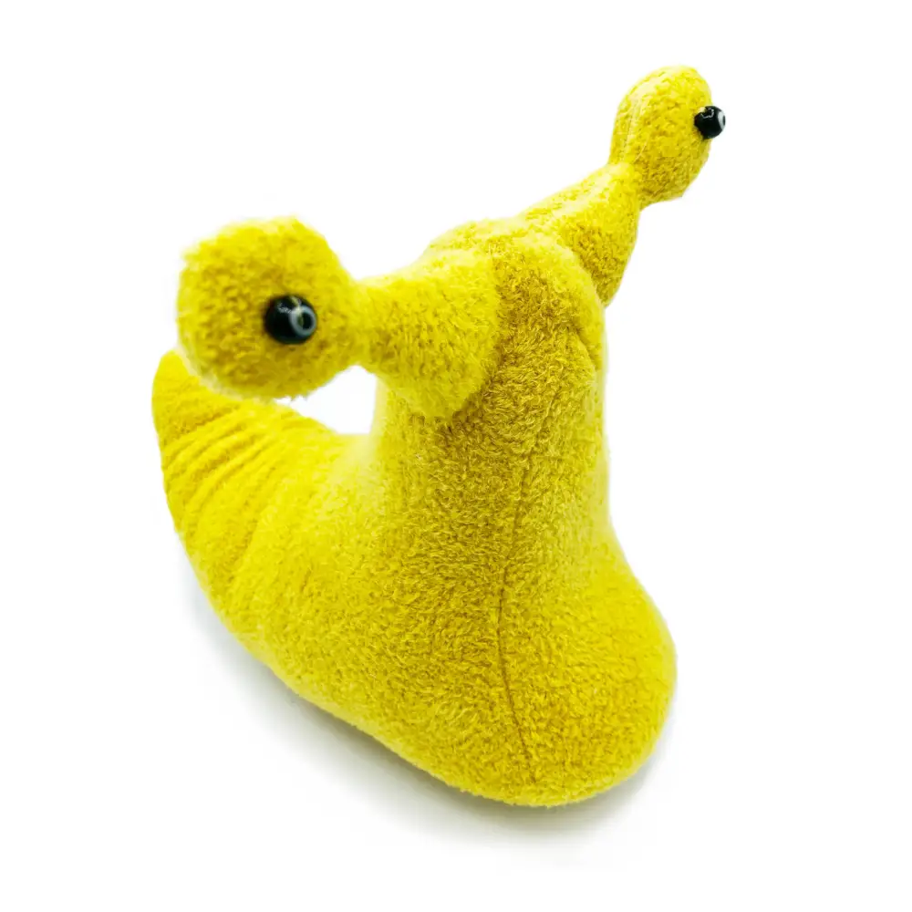 Banana Slug Stuffed Animal - PABOOM