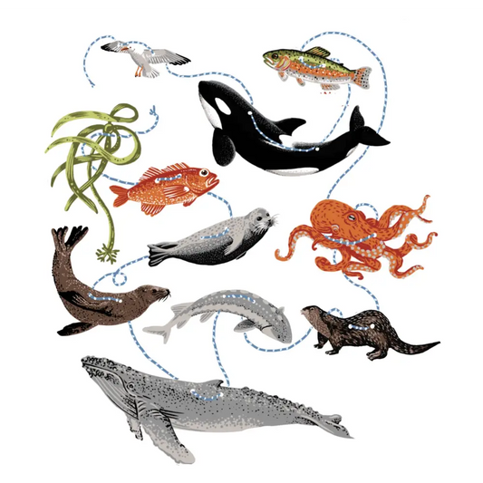 Salish Sea Paper Garland - PABOOM