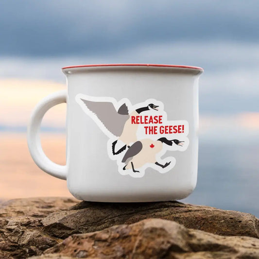 I’ll Know It When I See - Release the geese vinyl sticker