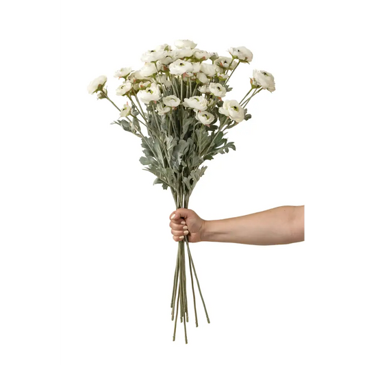 Indaba - Ranunculus Spray White