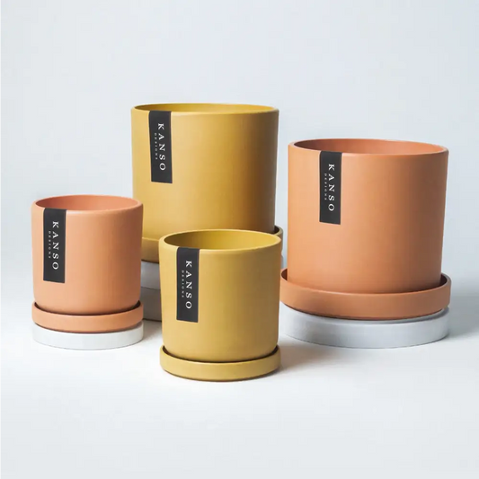 Kanso Designs Planter + Saucer 4β - Mustard