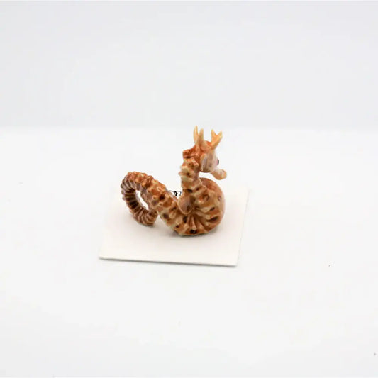 Dancer Big Belly Seahorse Miniature - PABOOM