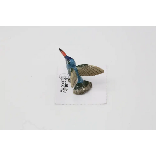 Little Critterz - Nectar Broad-billed Hummingbird Porcelain Miniature