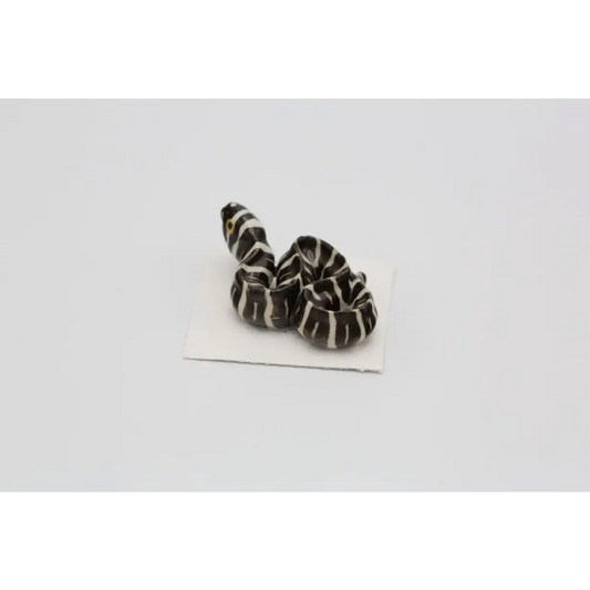 Retreat Zebra Moray Eel Porcelain Miniature - PABOOM