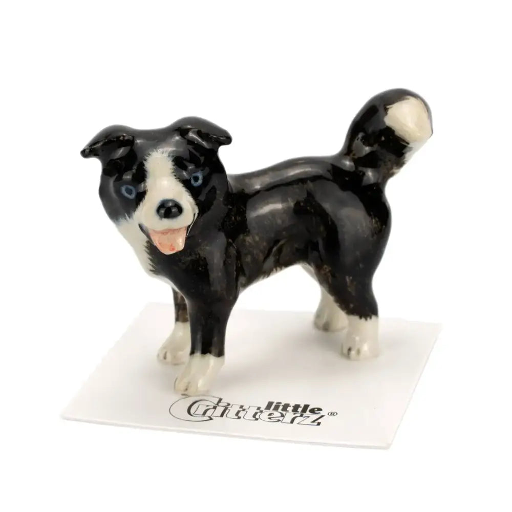 Scott Border Collie Porcelain Miniature - PABOOM