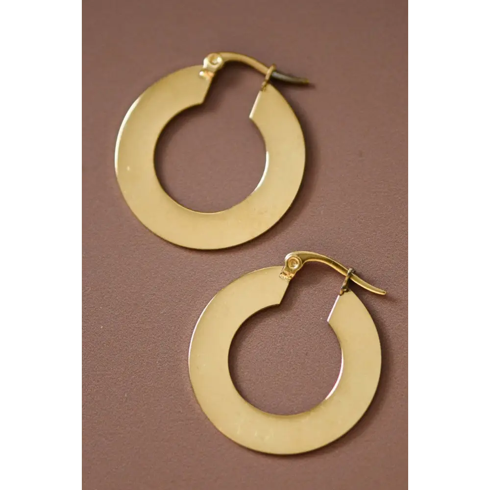 Mia Accessories - 18K Gold Plated Waterproof Stainless Steel Drop Earrings - 6925 S0OX3T6925