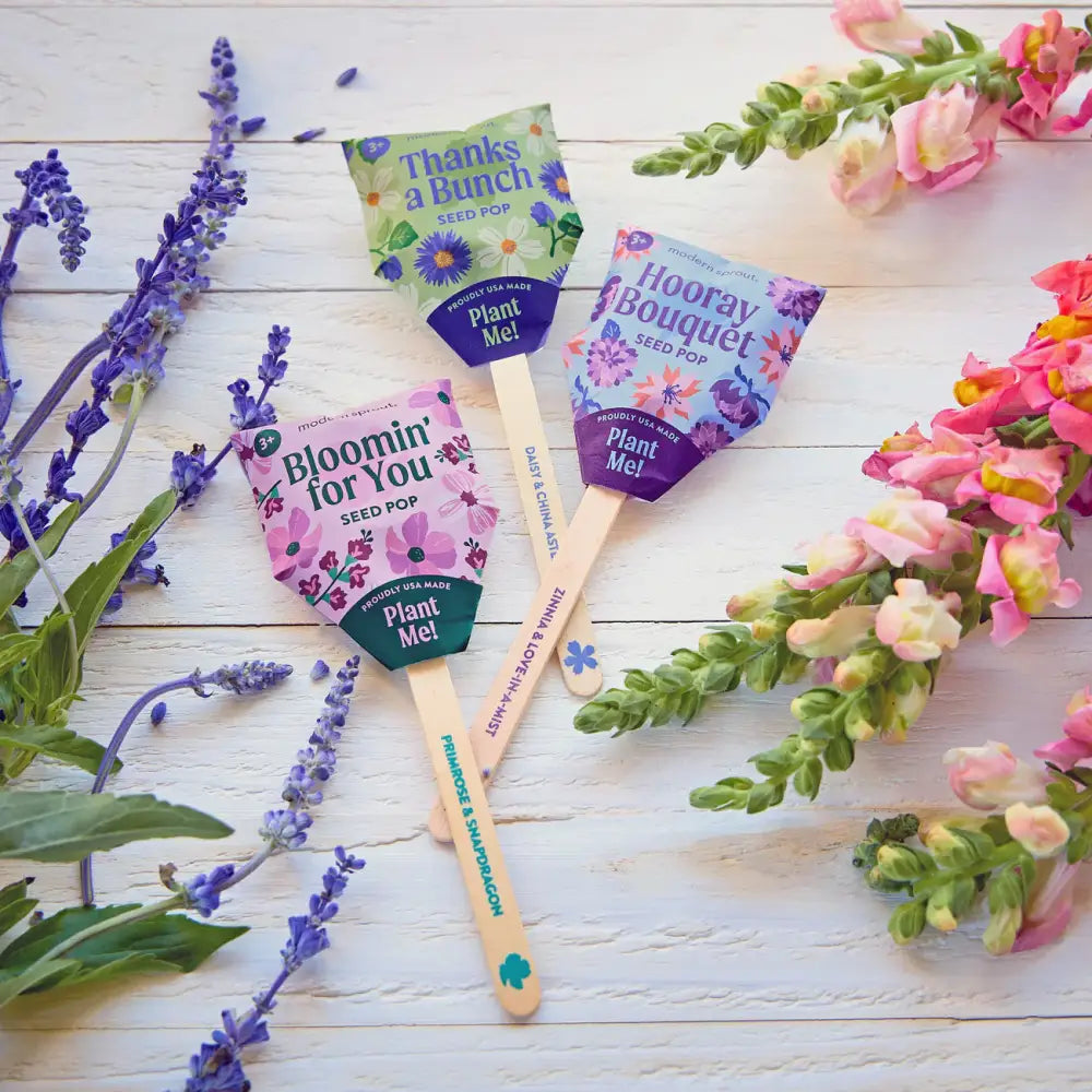 Modern Sprout - Seed Pops