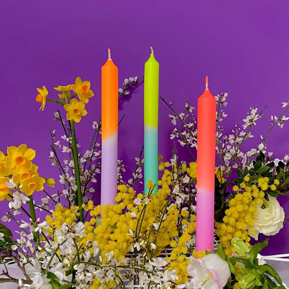 Pink Stories - Pastel Tulips Dip Dye Neon Candles