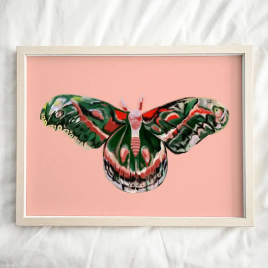 Projet Special Moth Art Print