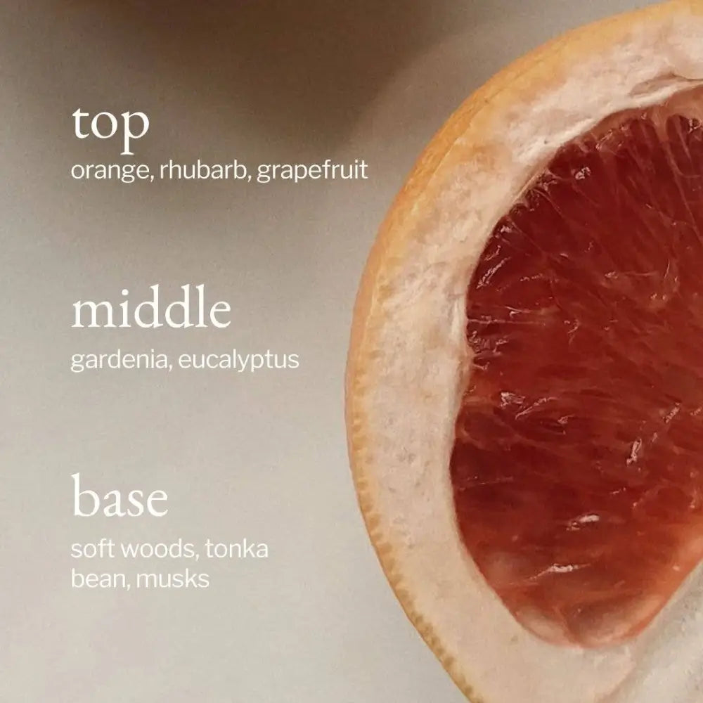 Liquid Dish Soap - Eucalyptus + Grapefruit