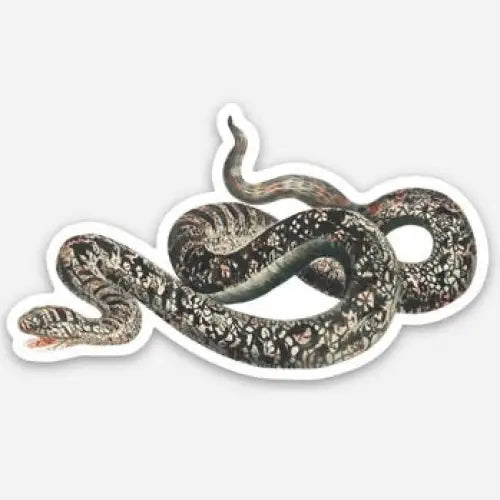 Appalled Snake Gap Filler Vinyl Sticker - PABOOM