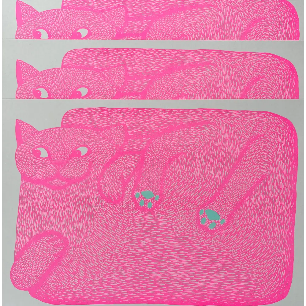 Strangford - “I’m Just A Paw Boy From Family” - three stacked playful pink cat