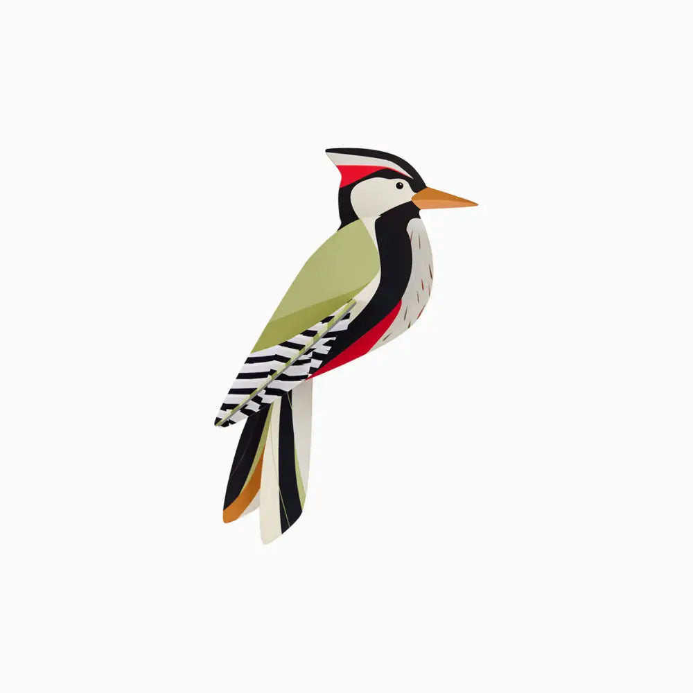 Studio Roof (no tariffs) - 3D Wall Art - Garden Bird - Woodpecker