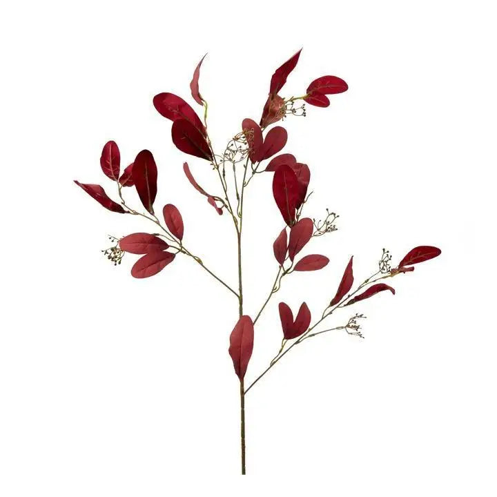 Seeded Foliage Stem Purple - PABOOM