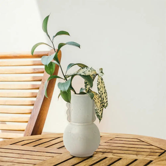 Wavy Edges Vase - PABOOM