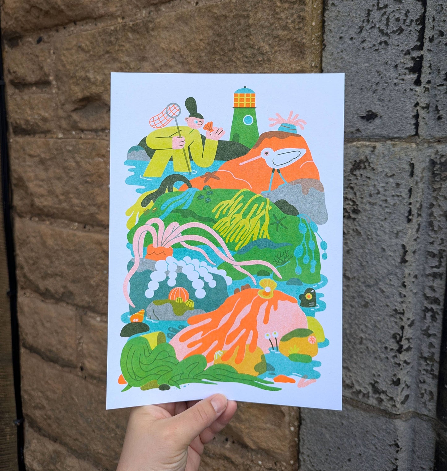 Rockpool A4 Risograph Print — illustration of a person rockpooling with a net beside sea creatures and a lighthouse