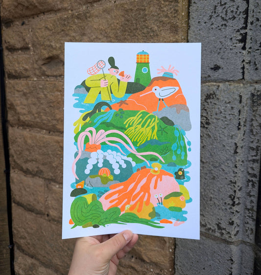 Rockpool A4 Risograph Print — illustration of a person rockpooling with a net beside sea creatures and a lighthouse