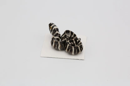 Retreat Zebra Moray Eel Porcelain Miniature