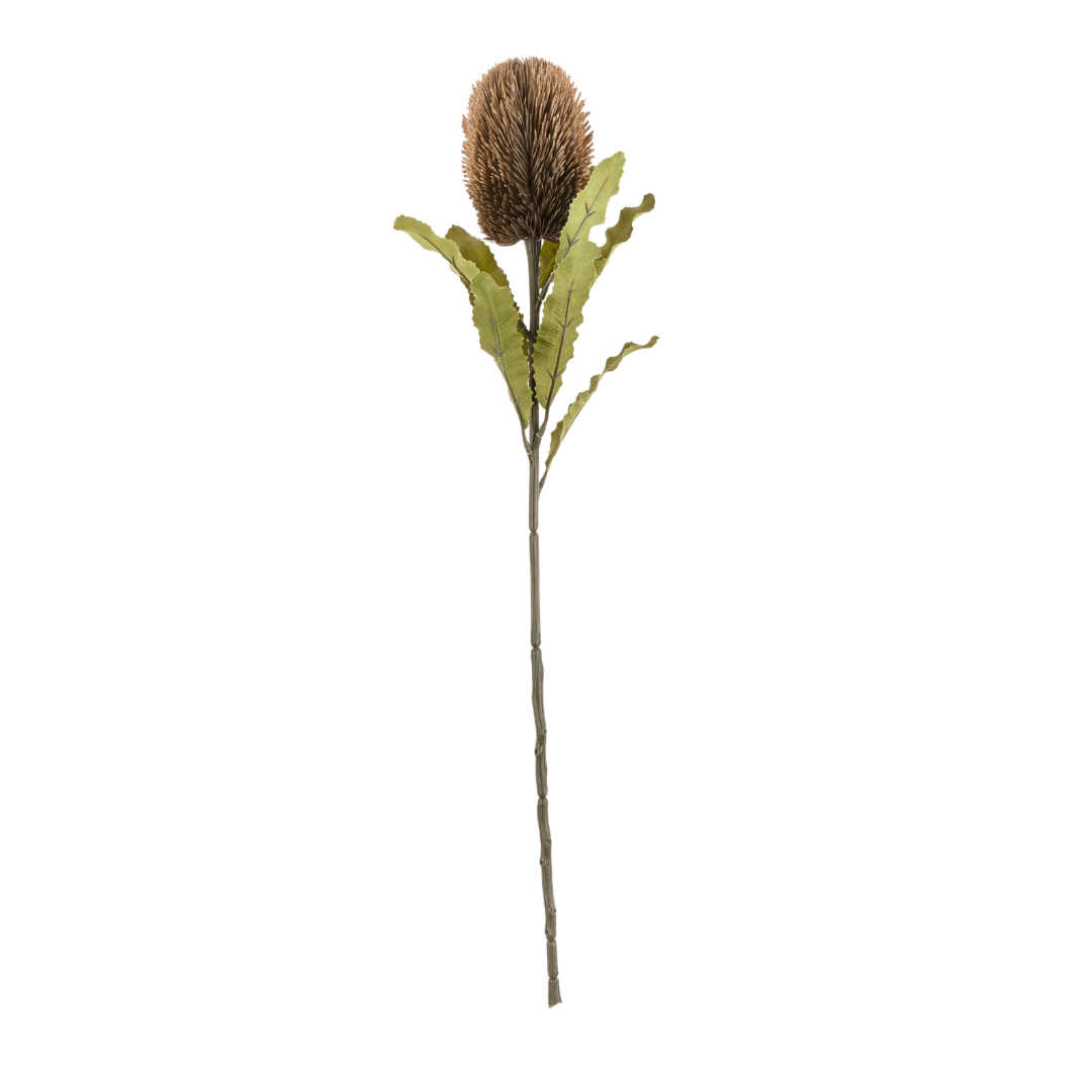 Faux brown banksia flower with green leaves on a long stem - PABOOM